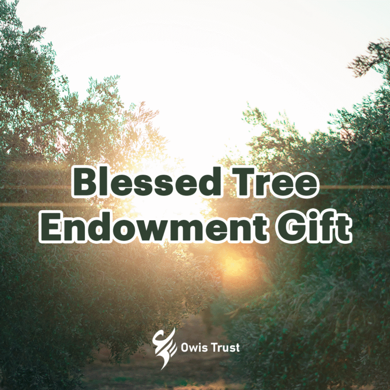 blessed tree endowment gift