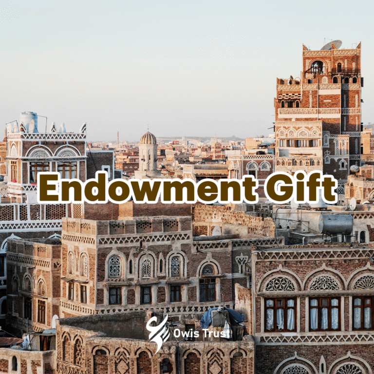 endowment gift