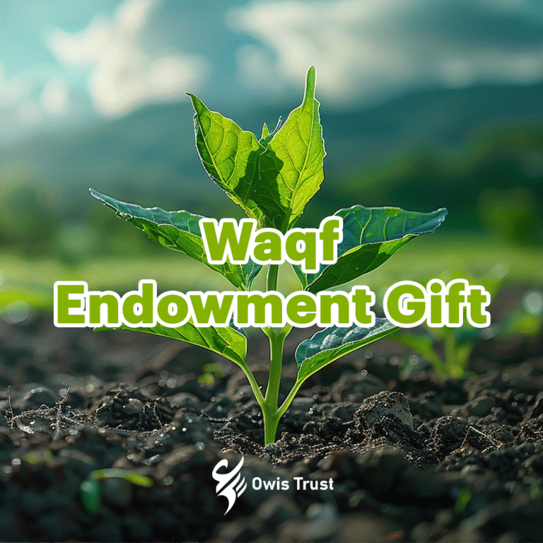 waqf endowment gift